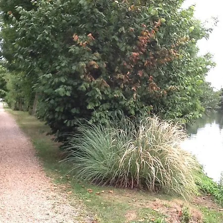 Du Bord De Seine Pressagny-lʼOrgeuilleux